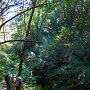 Dropping down into Devil's Gulch from the road.